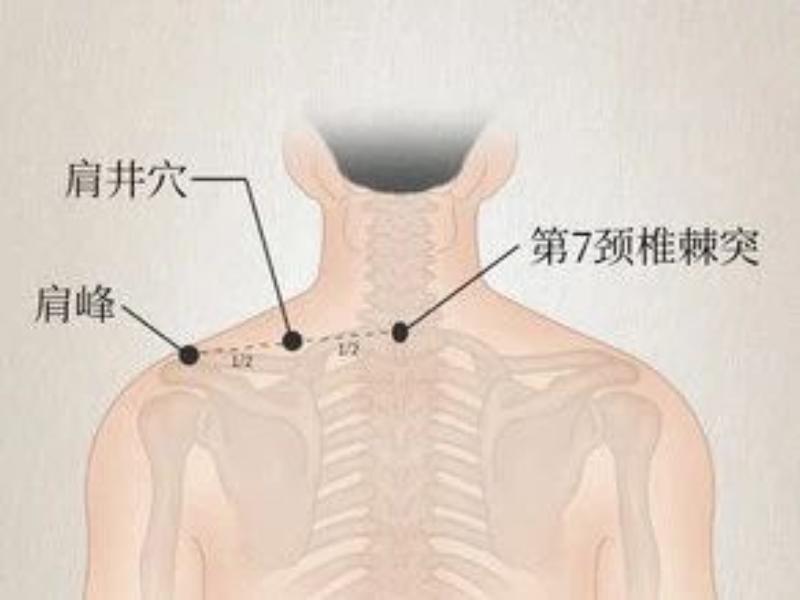 微信图片_20250612092150.jpg